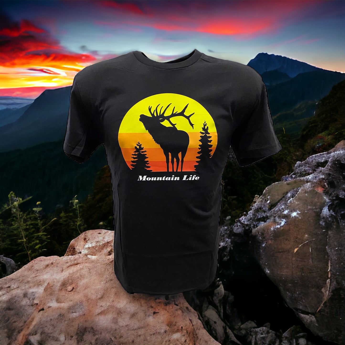 Mountain Life Elk